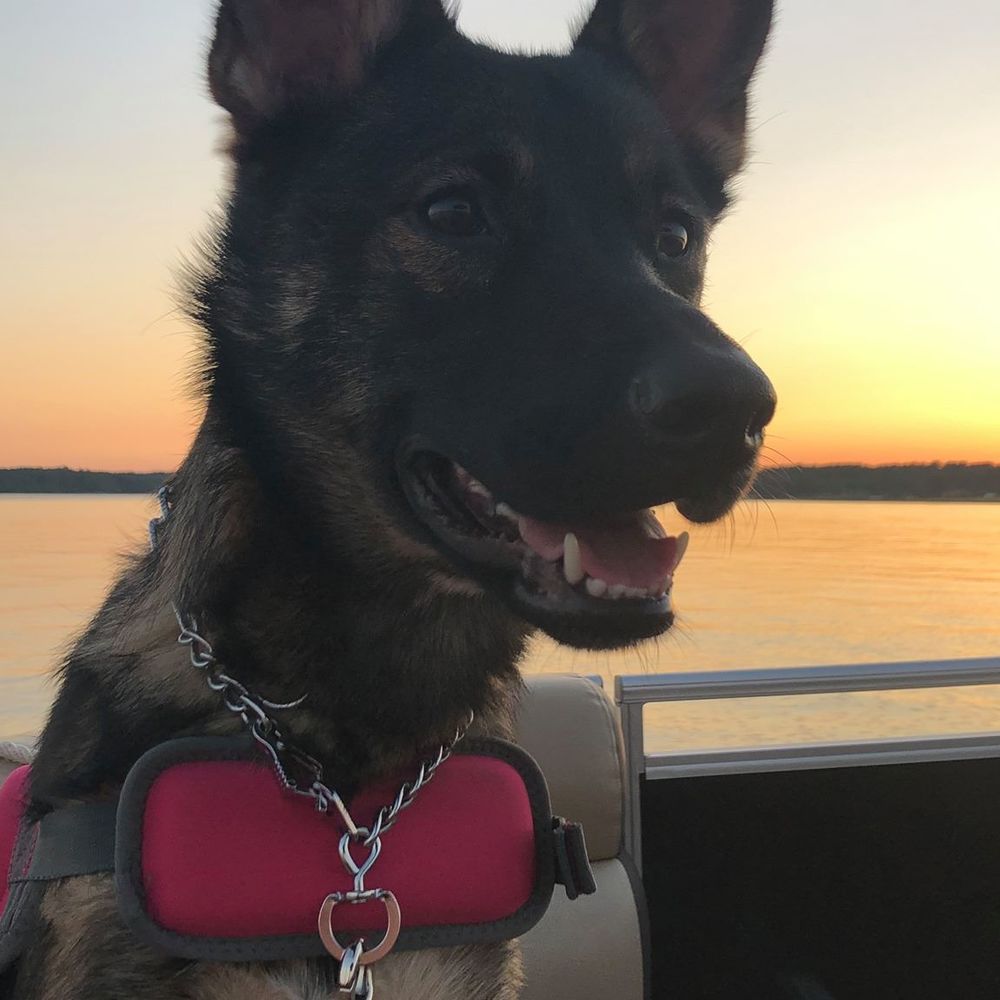 Meet your Posher, Paige